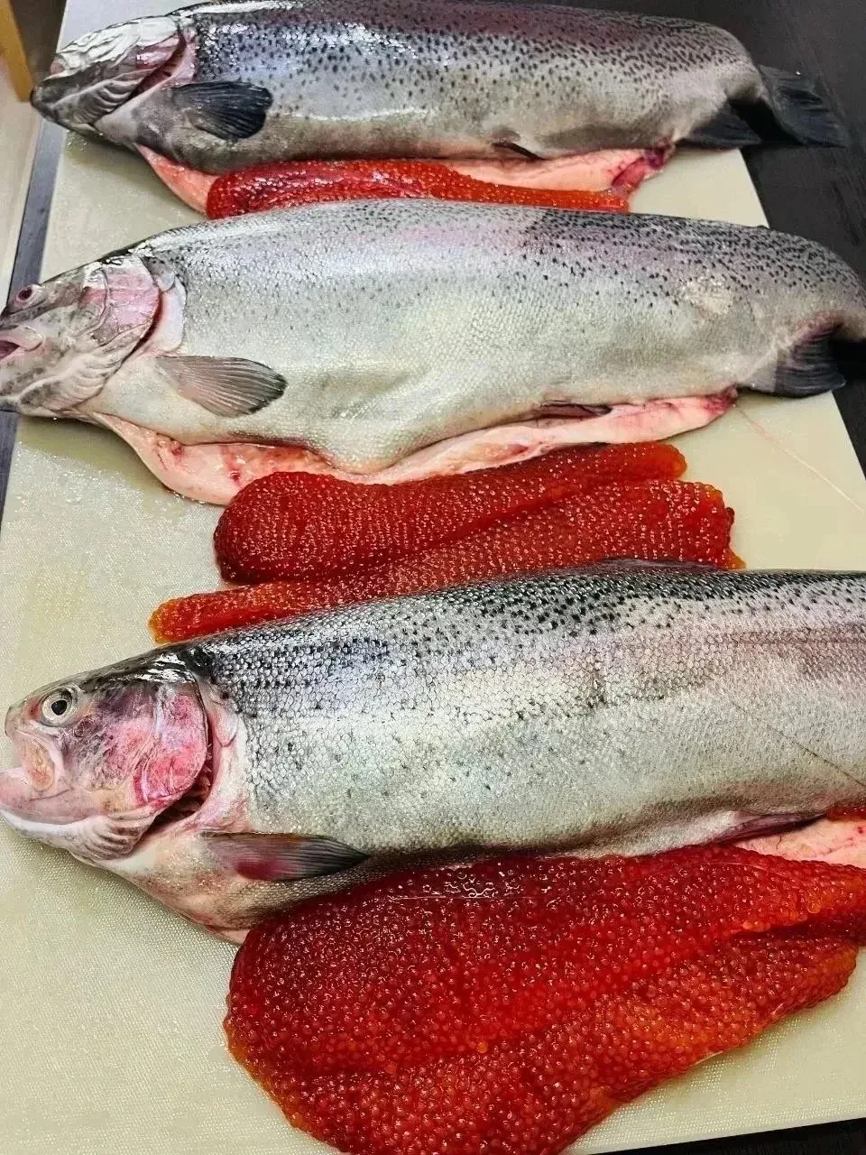 🐟 ИКОРНАЯ ФОРЕЛЬ: ОТКРЫВАЮ БРОНЬ И СЕЗОН ПРОДАЖ! 🌟