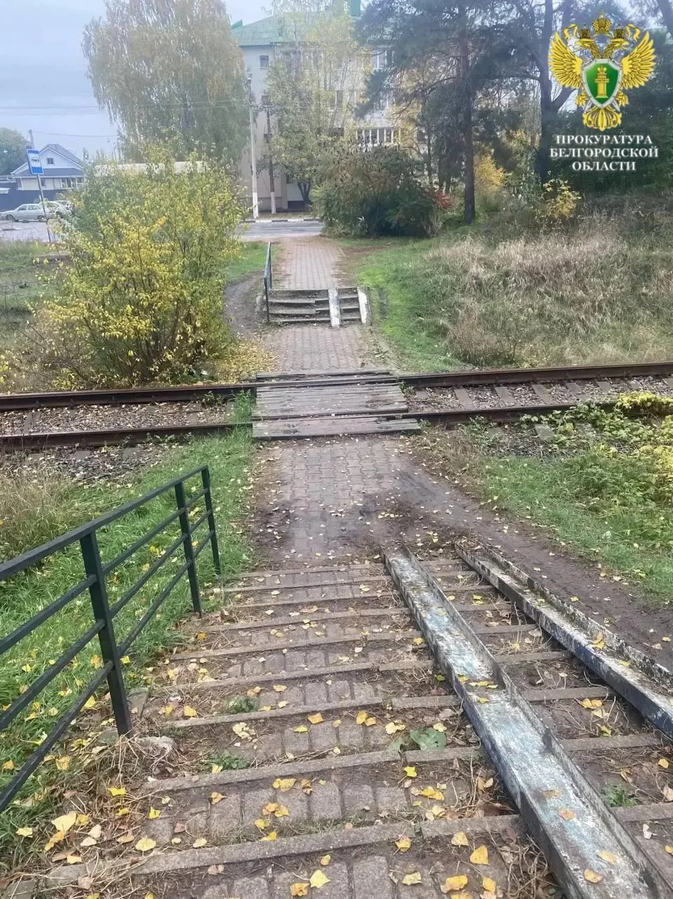 Мужчину, который напал на девушек в Шебекино, задержали.