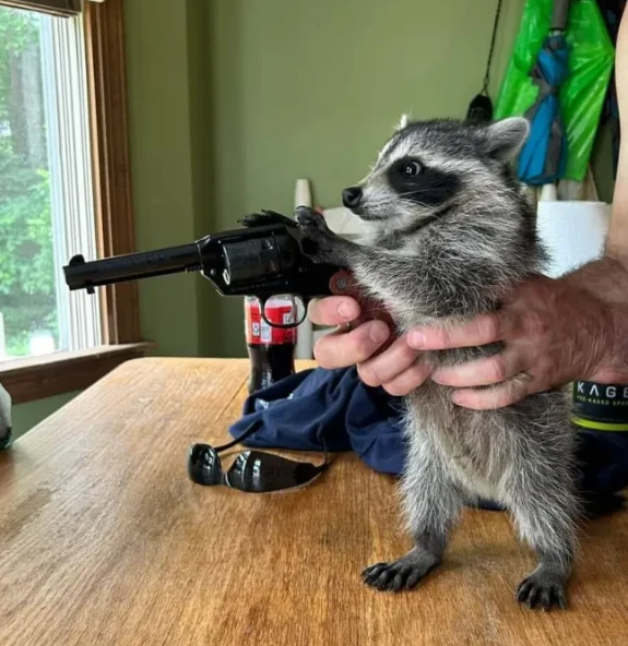 - Держи волыну крепче!.. )