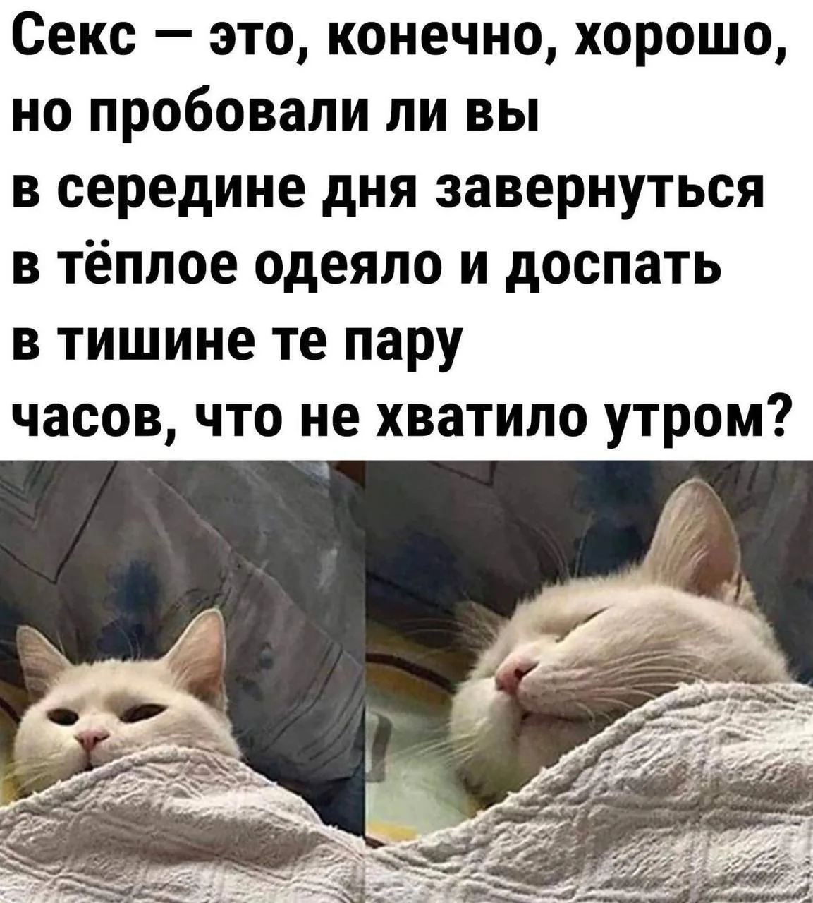 👉 👈
