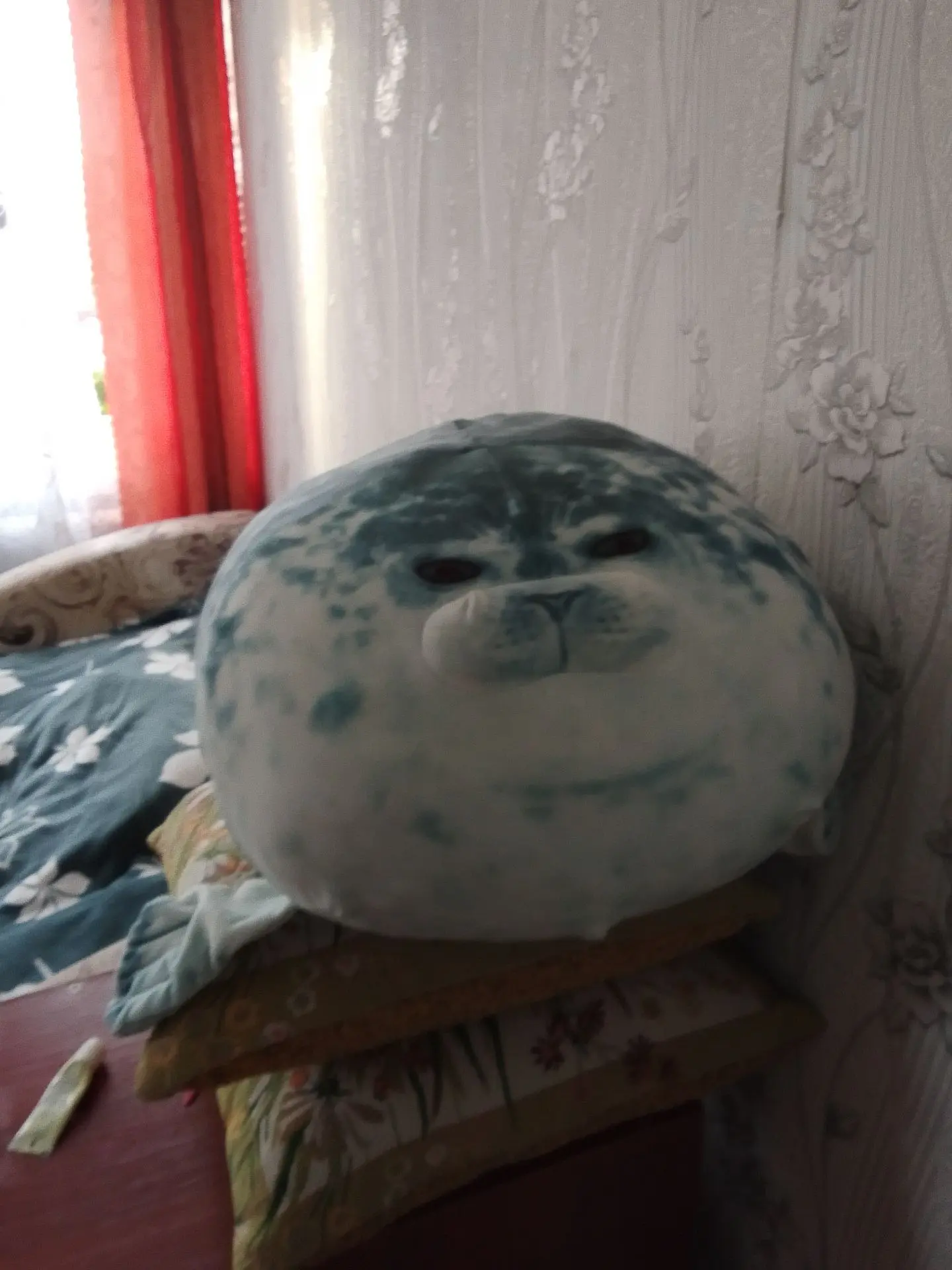 Смотрите Валера то есть тюлень яйцо😂🤣