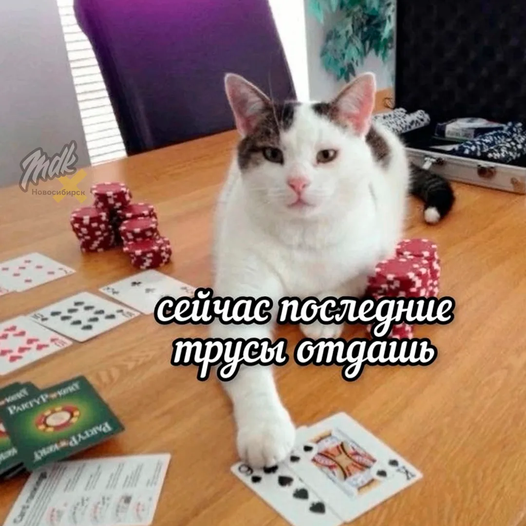 Лудомана посадили на бутылку