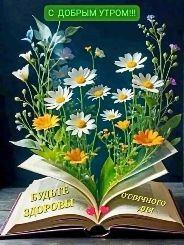 Доброе утро