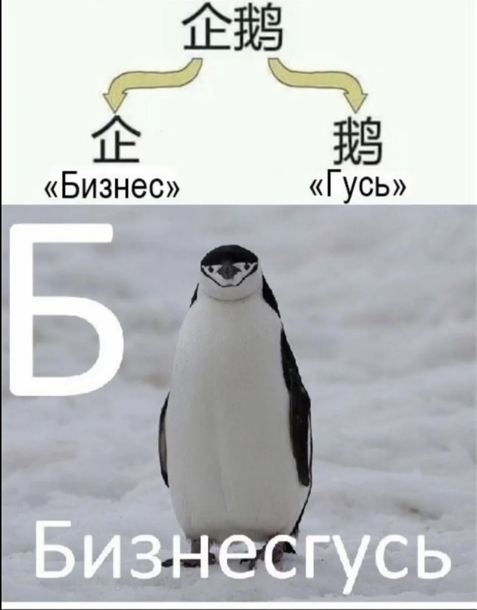 Пингвин - это деловой Гусь 🪿