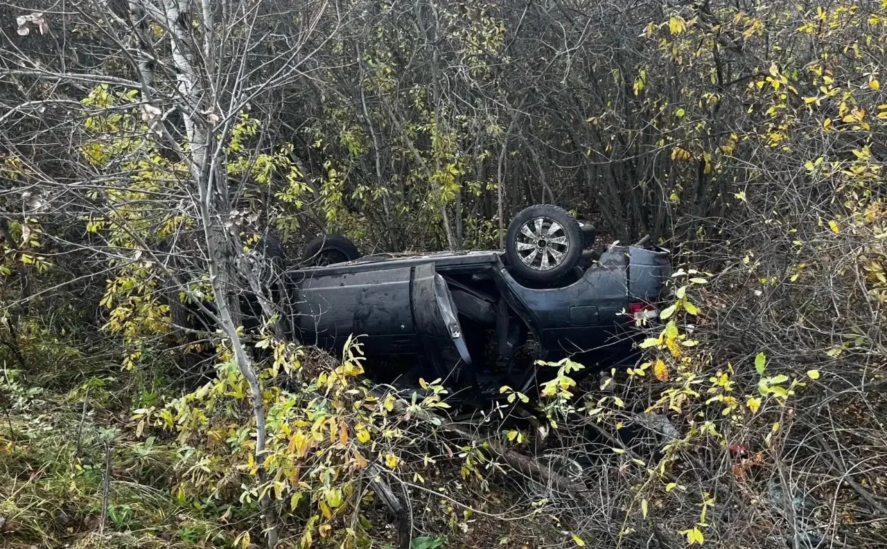 В Варгашинском округе произошло ДТП со смертельным исходом. Авария случилась 3 октября ...