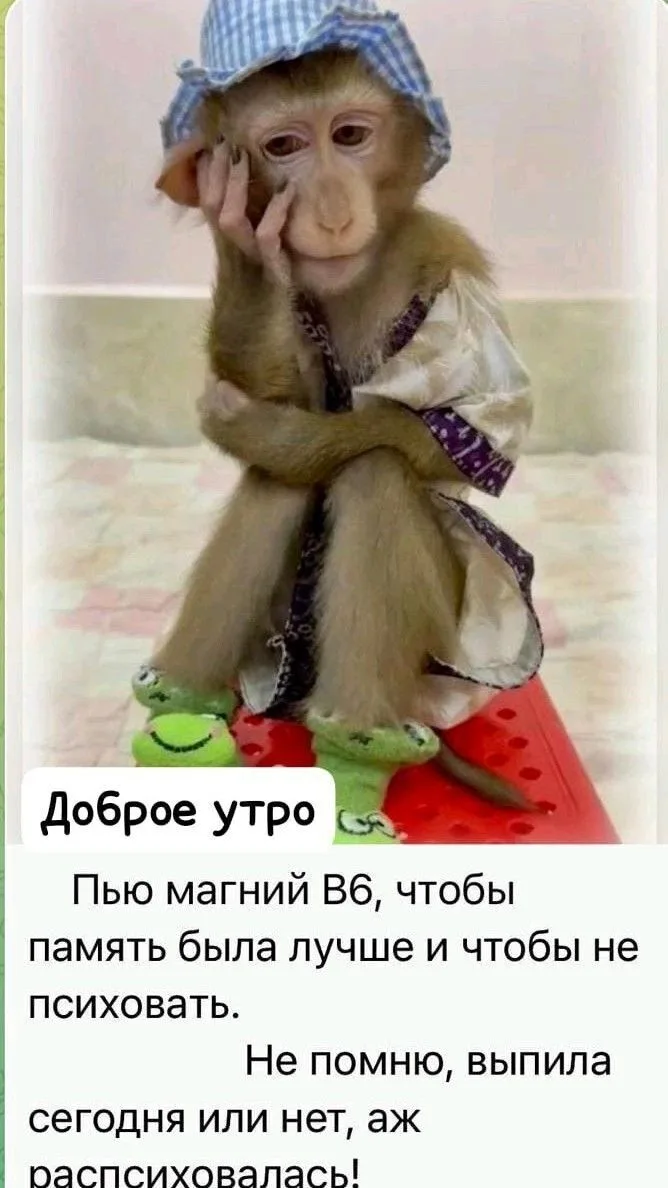 👑 Мадам с характером|