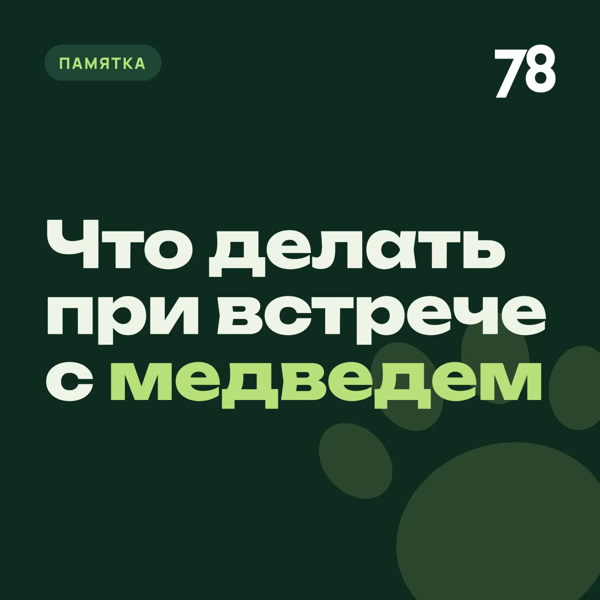Жителей Ивангорода предупредили о блуждающем медведе. По информации местной администрац...