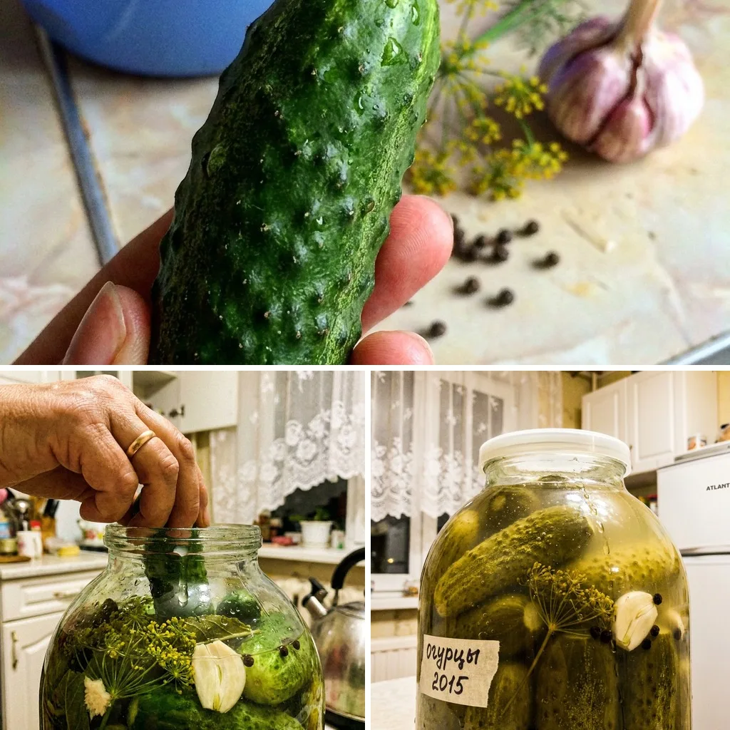 🥒 ОГУРЦЫ СОЛЁНЫЕ — ХОЛОДНЫЙ ЗАСОЛ, БЕЗ УСИЛИЙ