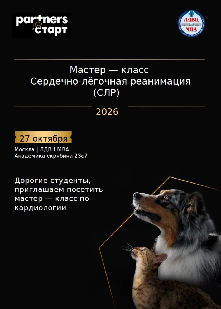 Когда каждая секунда на счету ❤️‍🩹