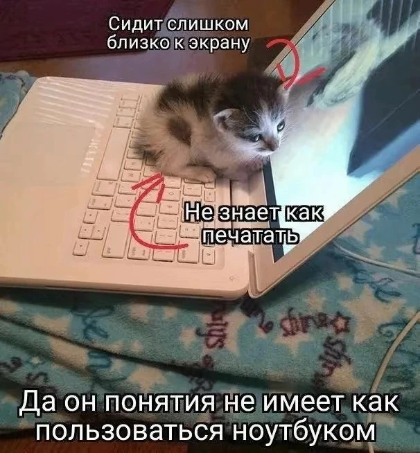 В России утвердили новый технологический сбор на смартфоны и ноутбуки, который производ...
