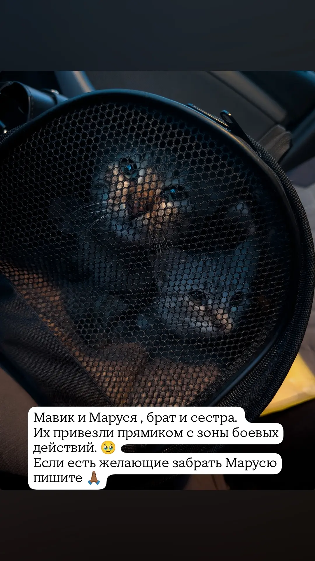Видео