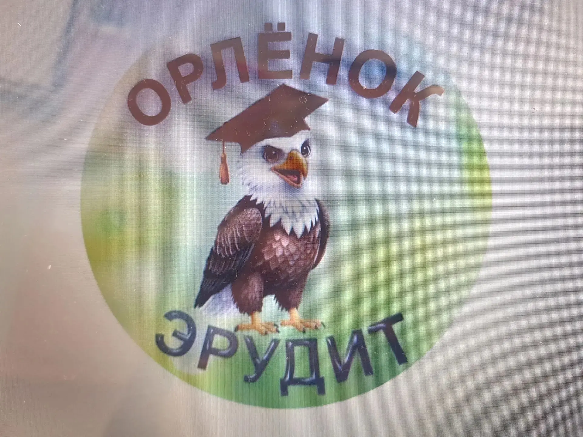 🇷🇺ОРЛЯТА РОССИИ 🇷🇺
