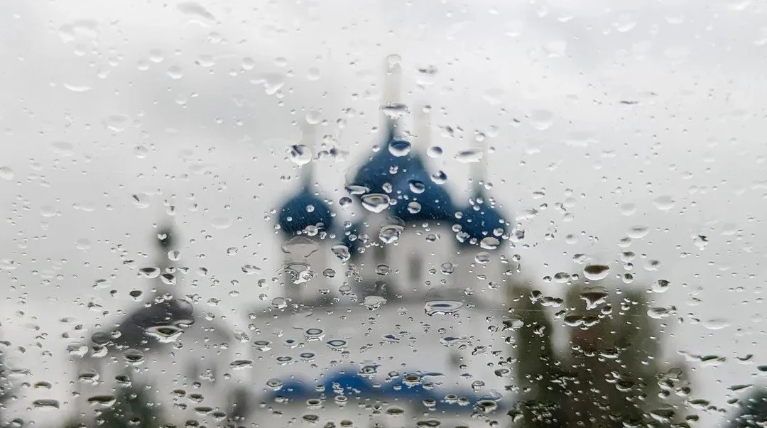 До +16 градусов и без сильного ветра: какая погода ждет Подмосковье в воскресенье