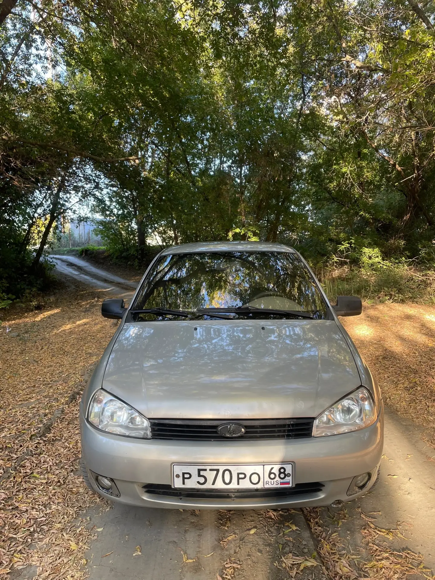 Продам калину 2007год