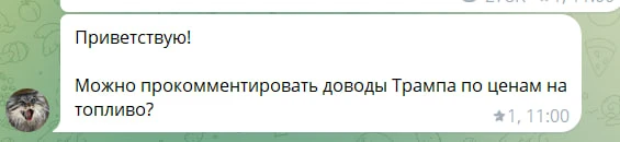 Трамп, как всегда, наговорил громких слов, вводя в заблуждение своих избирателей. Нефть...