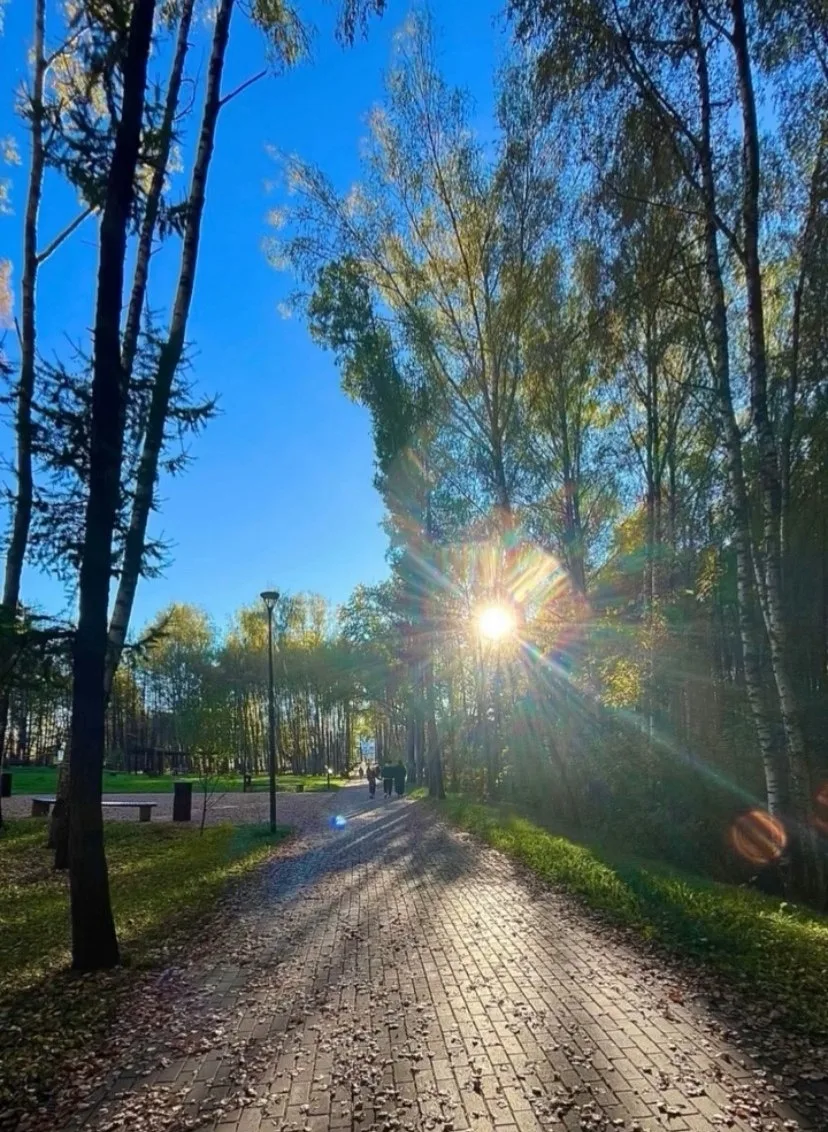 Хорошо в парке в такую погодку!😊