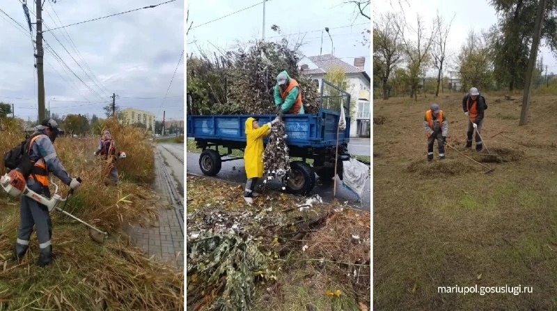 В Мариуполе продолжается благоустройство общественных пространств. Сезонные работы выпо...