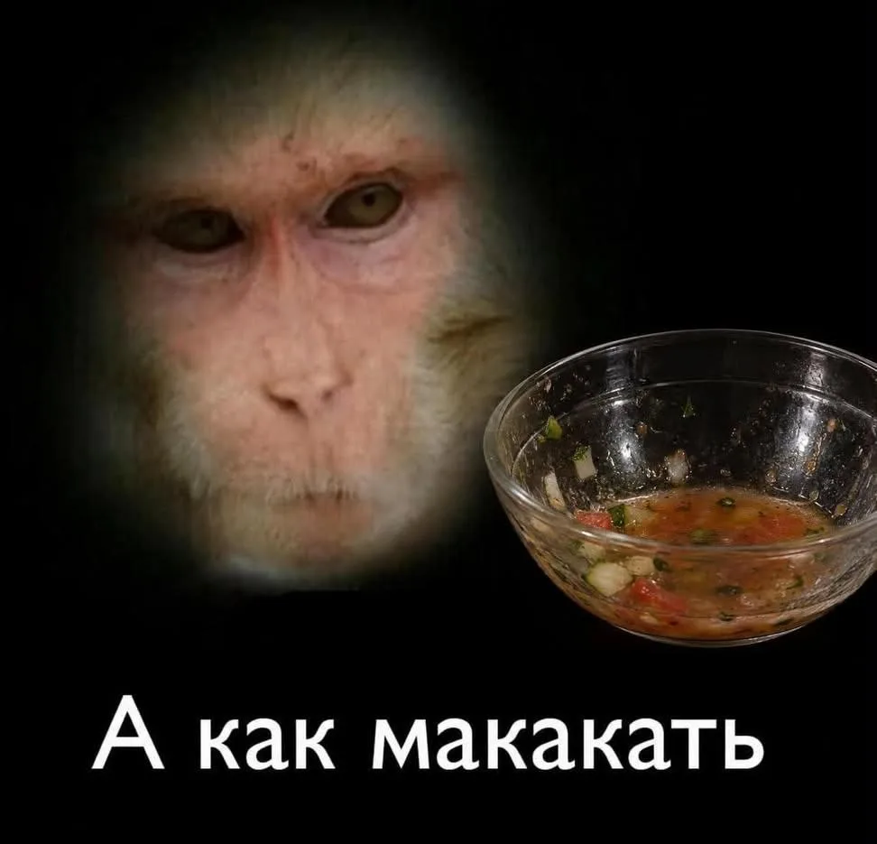Когда осталась жижа в салате, а хлеб закончился