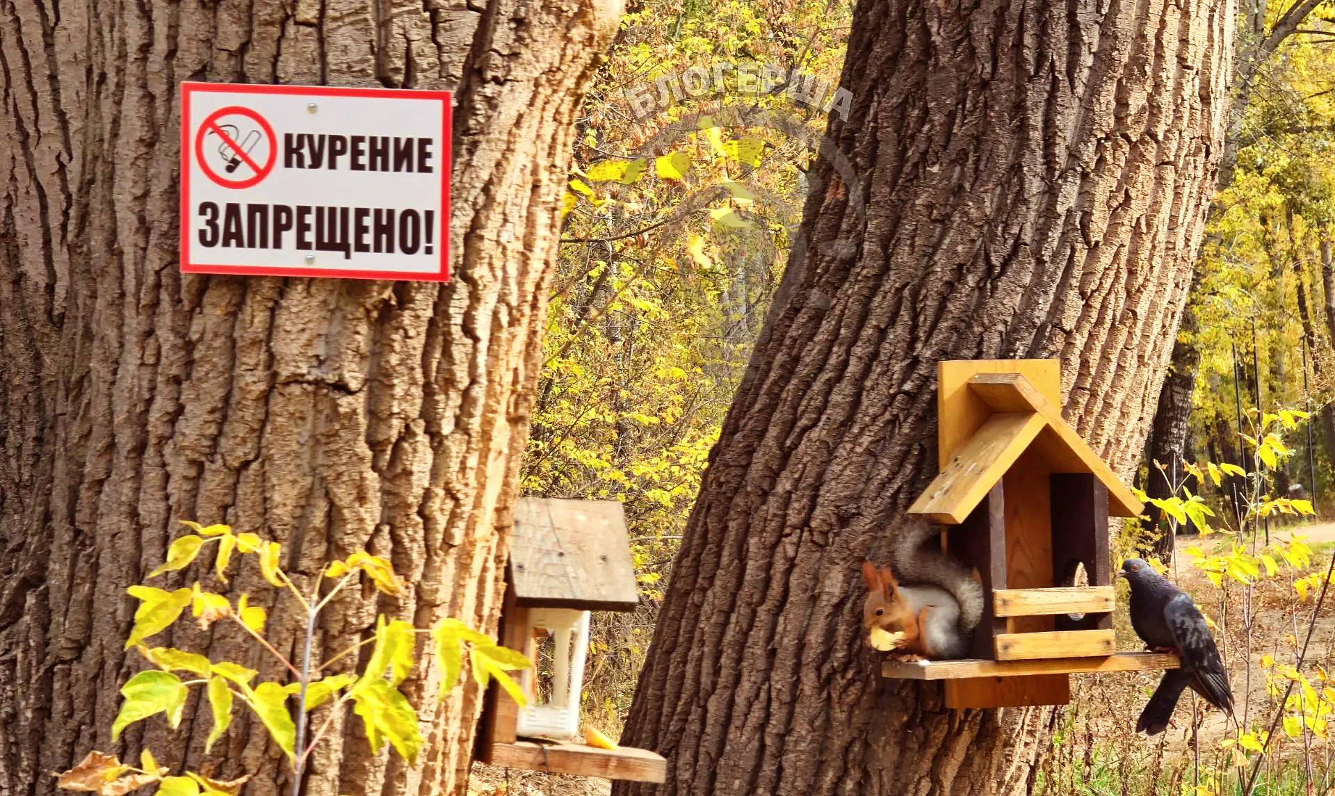 «В рот не брал!». Продолжение.