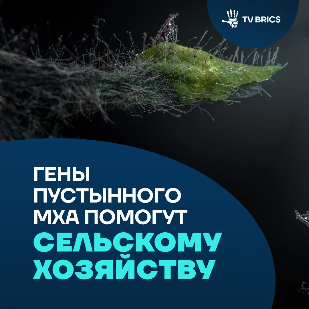 Перенести полет на низкую околоземную орбиту и успешно восстановиться смог пустынный мо...