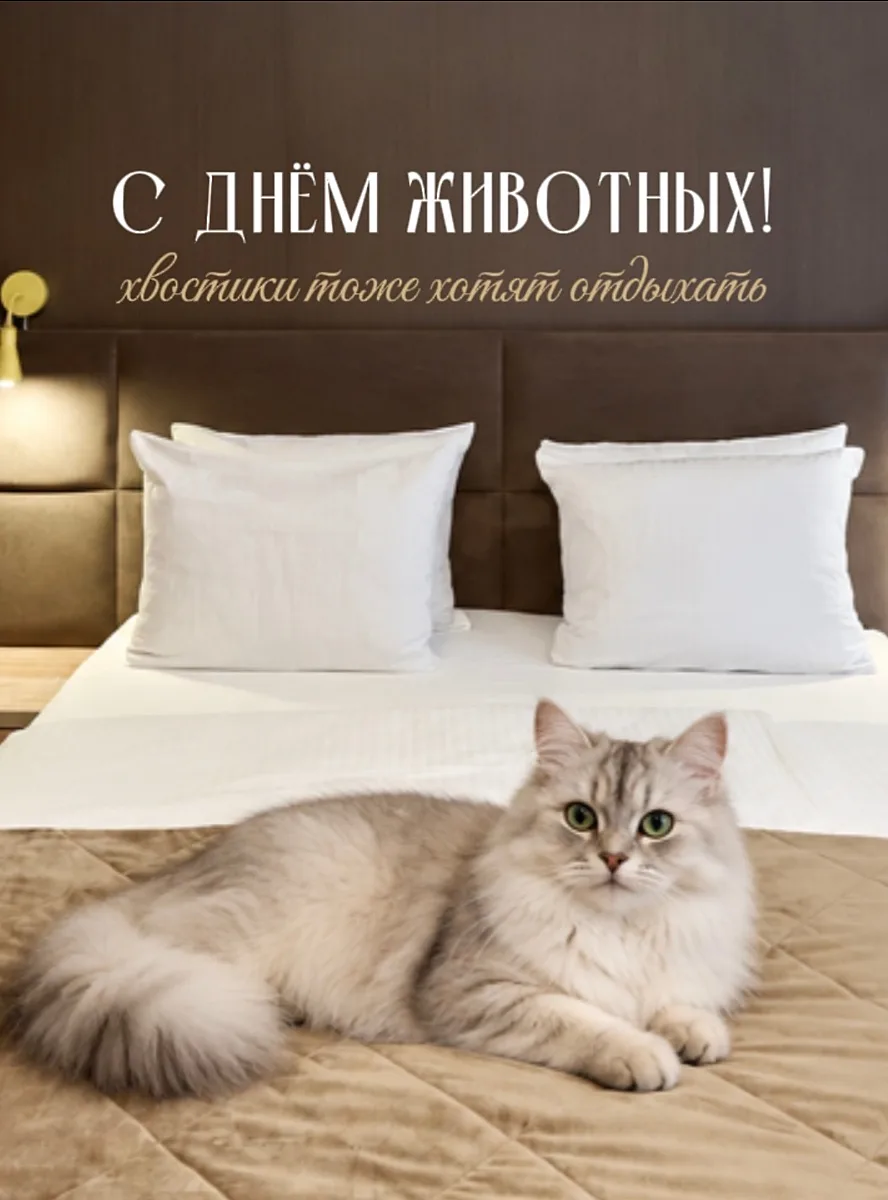 Мы считаем, что настоящая роскошь — это возможность быть рядом с теми, кого любишь.