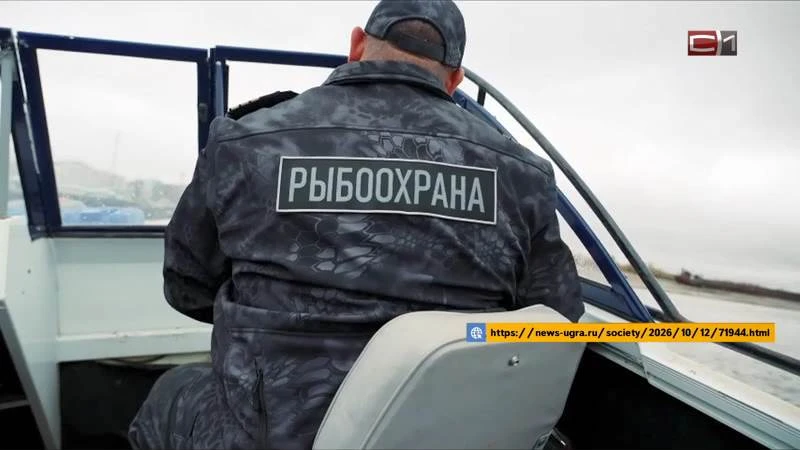 В Югре возбудили почти 80 уголовных дел за незаконный вылов рыбы