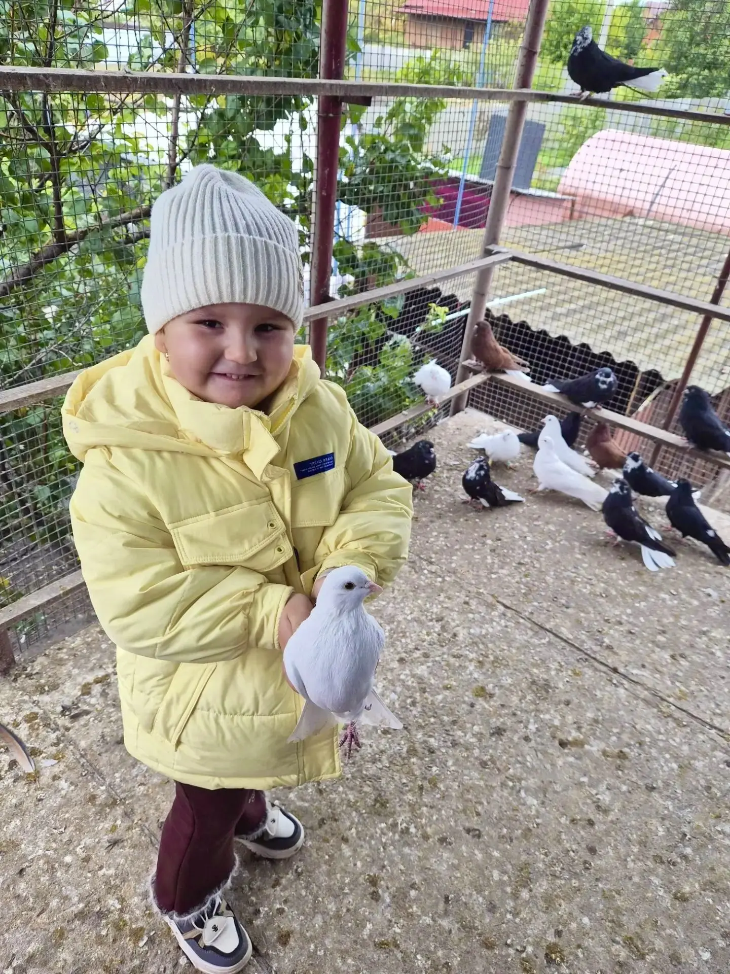 🕊️ ПТИЧЬЯ ПЕРЕПИСЬ🕊️