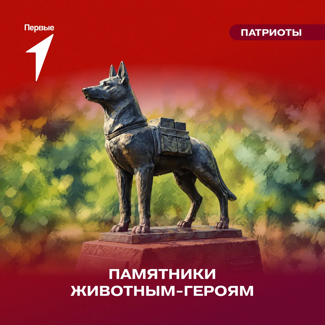 Герои не всегда носят форму. Иногда они мурлычут, виляют хвостом или просто остаются ря...