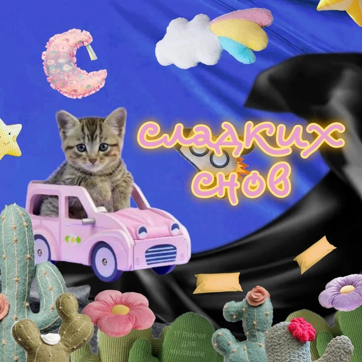 Добрых снов, товарищи котеки!❤