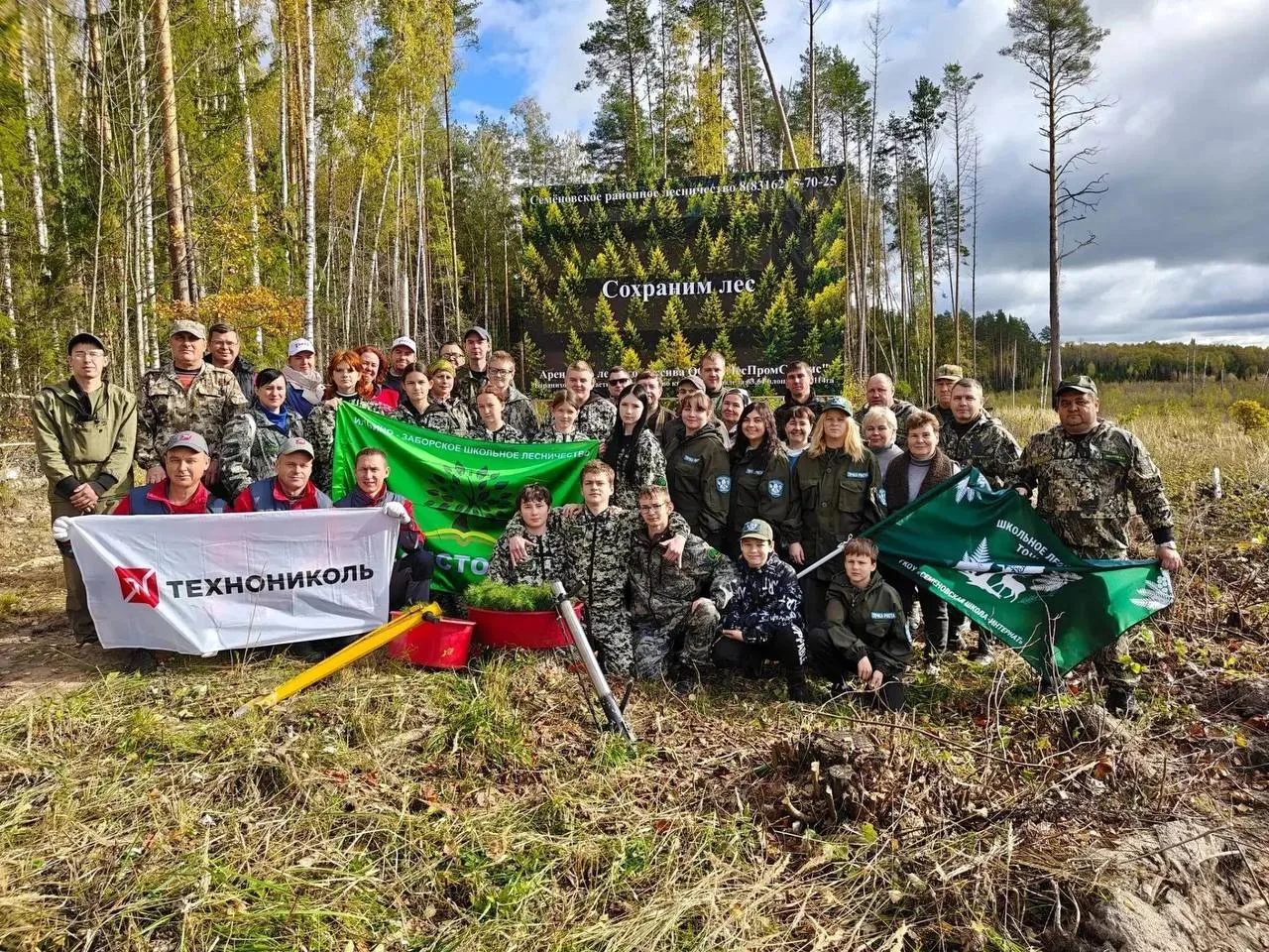 🌳 В Семёновском районе восстановлено 2,4 га леса — высажено 5000 саженцев сосны