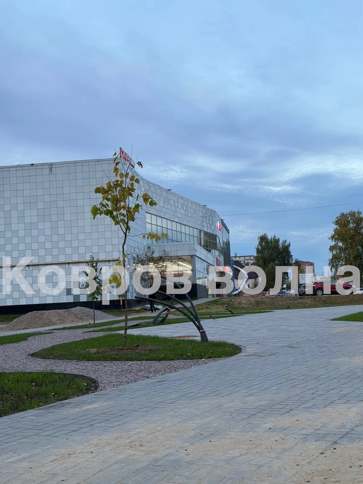 Где-то деревья срубают, а где-то сажают. Баланс в нашем городе. 🧐