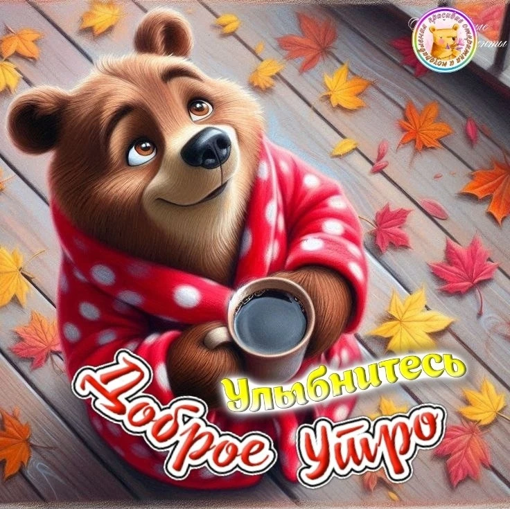 Спасибо за подписку❤️