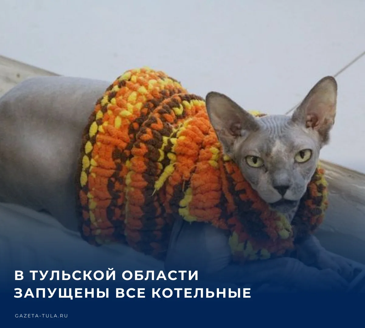 ❗️ Губернатор Тульской области Дмитрий Миляев у себя в МАКСе сообщил о полном завершени...