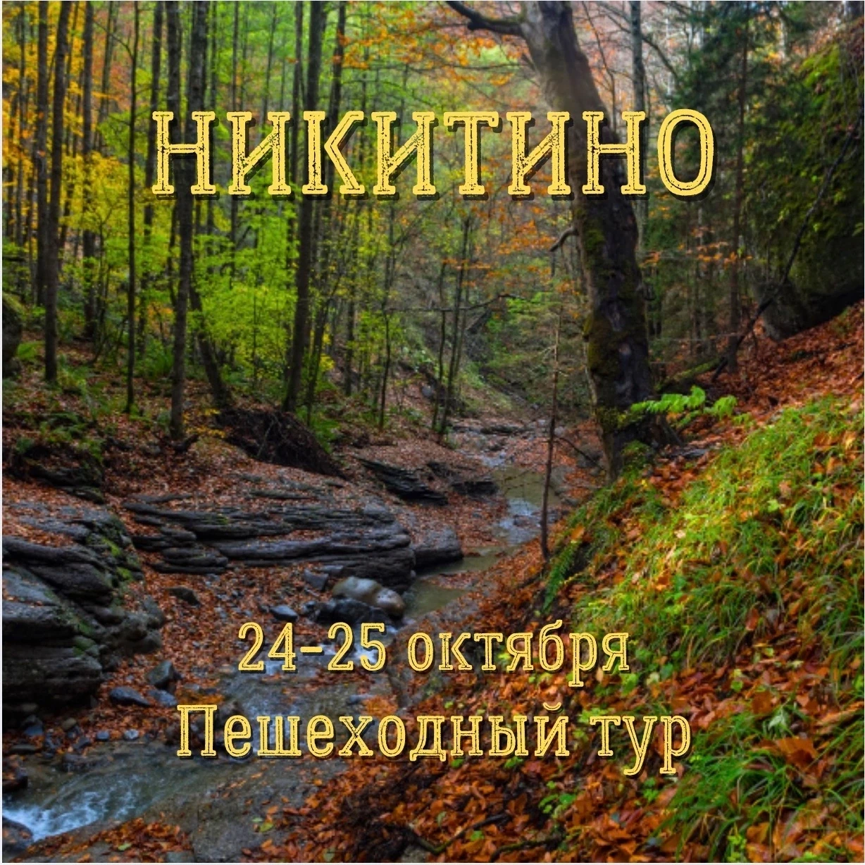 НИКИТИНО 🍂