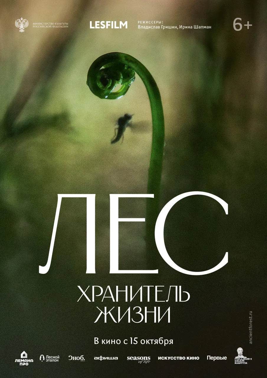 🌲 «Лес. Хранитель жизни»: путешествие в мир, которому 12 000 лет 🌲