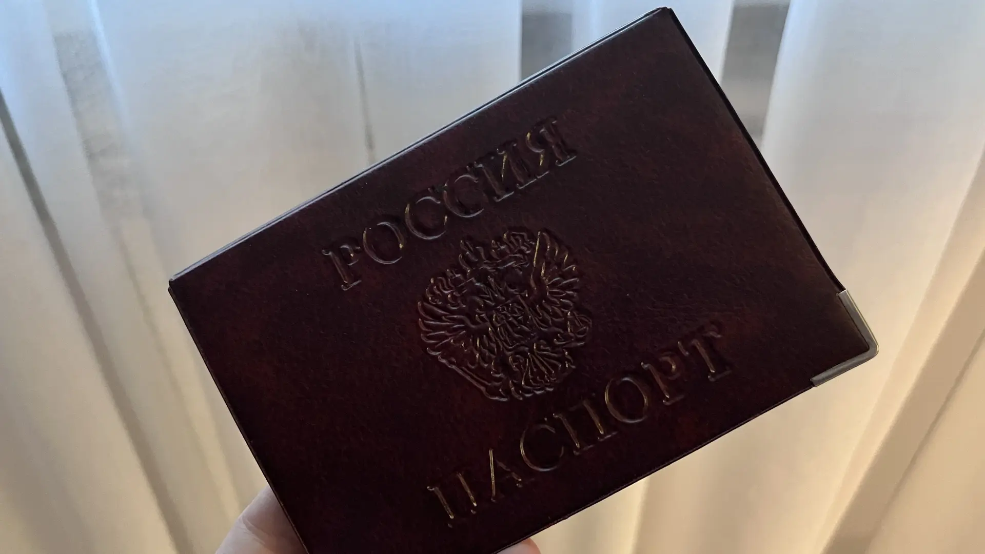 🪪 Срок оформления паспортов сократили до пяти рабочих дней