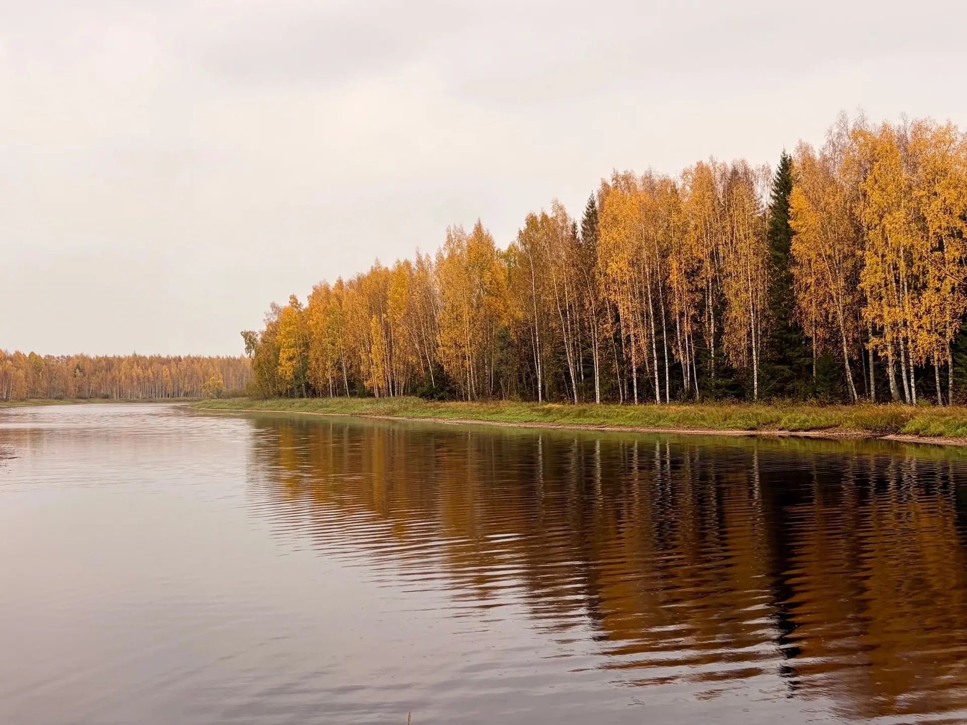 Золотая осень 🍂