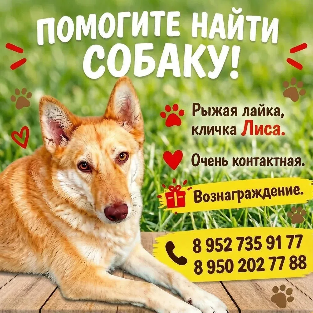 Дорогие жители Краснотурьинска!