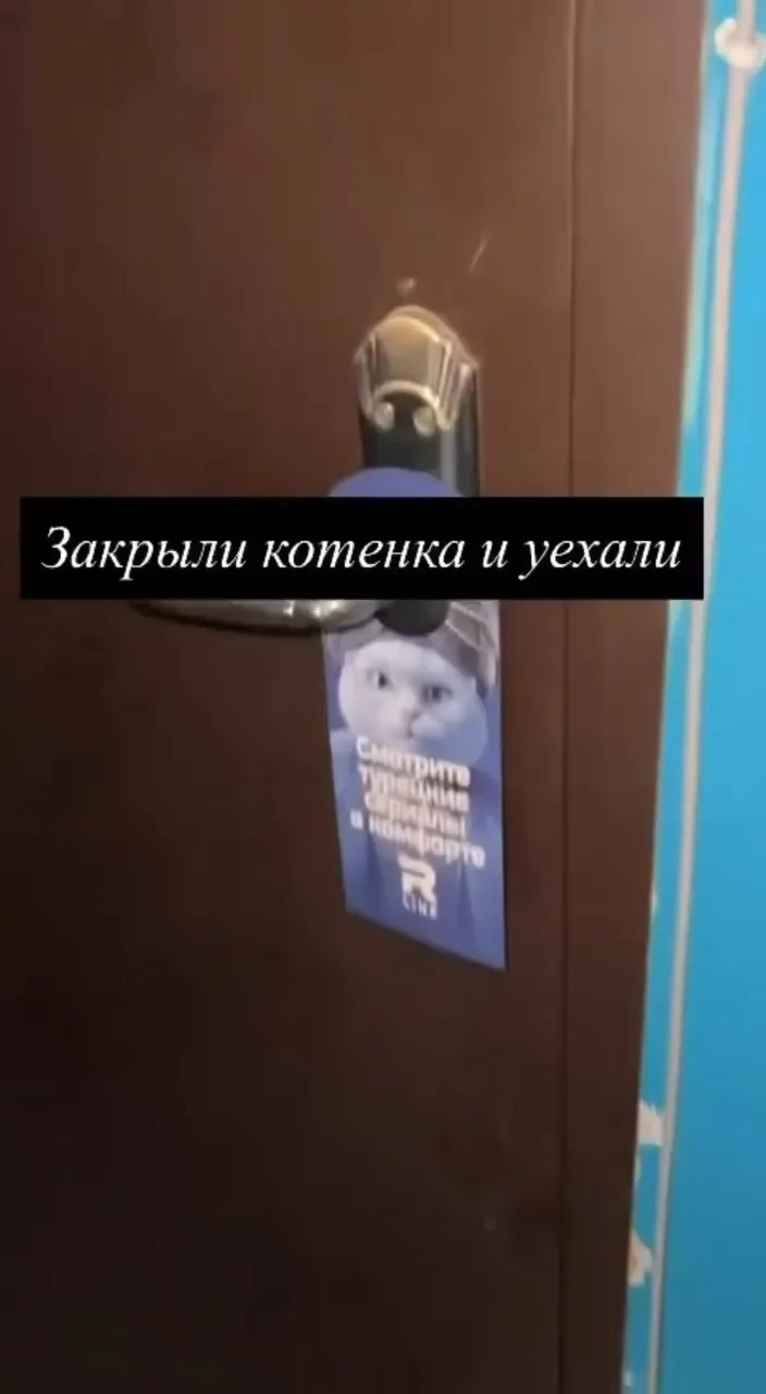 Московские квартиранты бросили котёнка одного в квартире.
