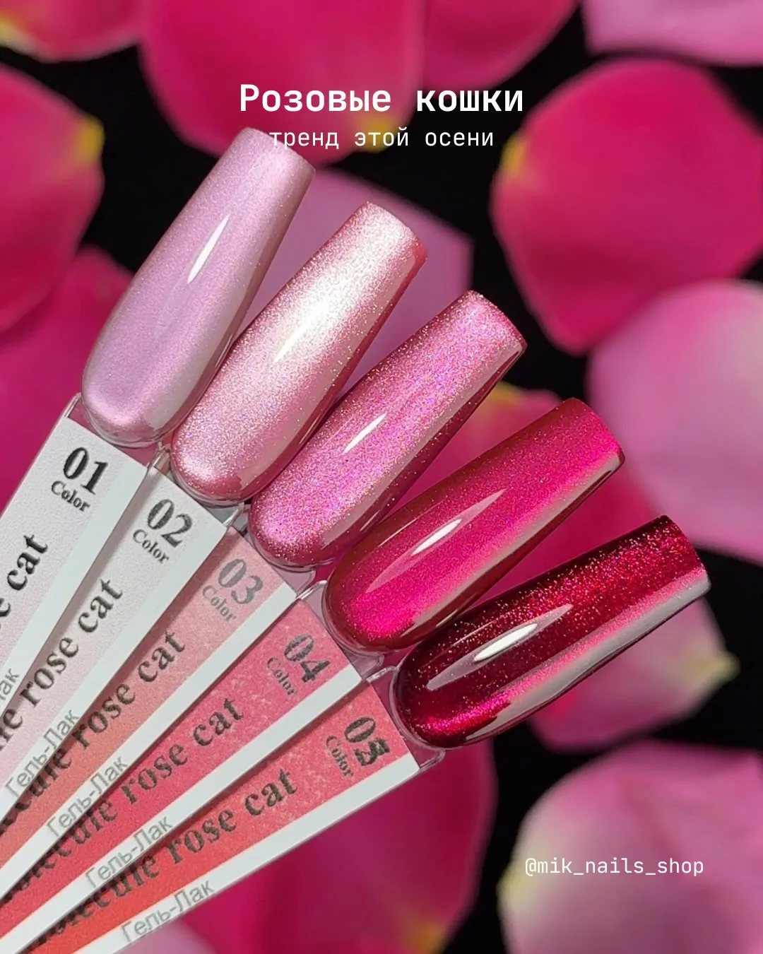 Розовые кошки - один из самых красивых трендов этой осени💗🎀