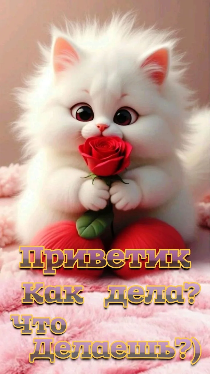 💌  💳  🎁 👉  ПОДДЕРЖАТЬ АДМИНА: