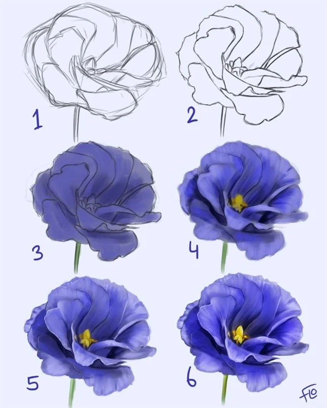 Пошаговый рисунок цветка