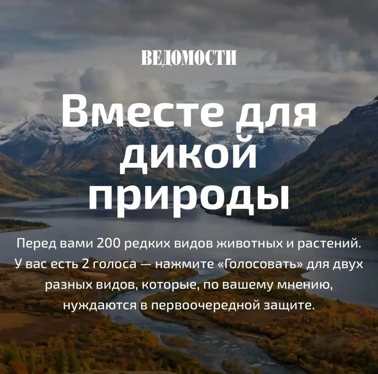 Всероссийское голосование «Вместе для дикой природы»!