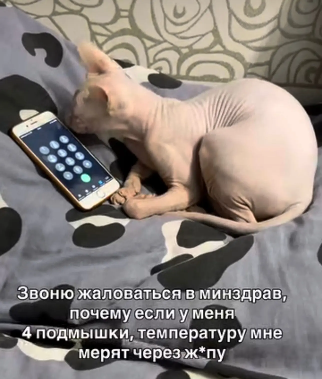 Админ: