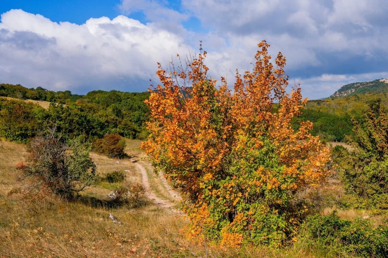Погода в крымских горах