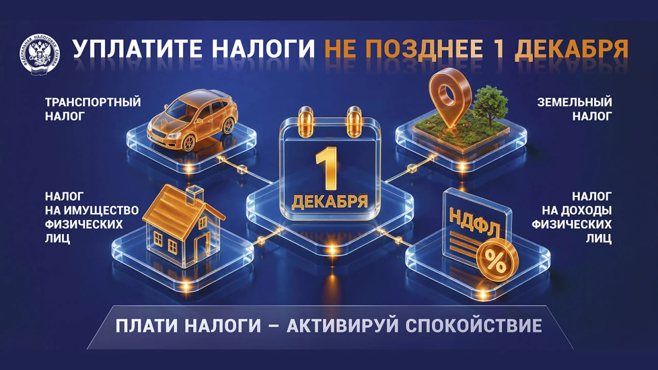 1 декабря 2026 года — крайний срок уплаты налогов