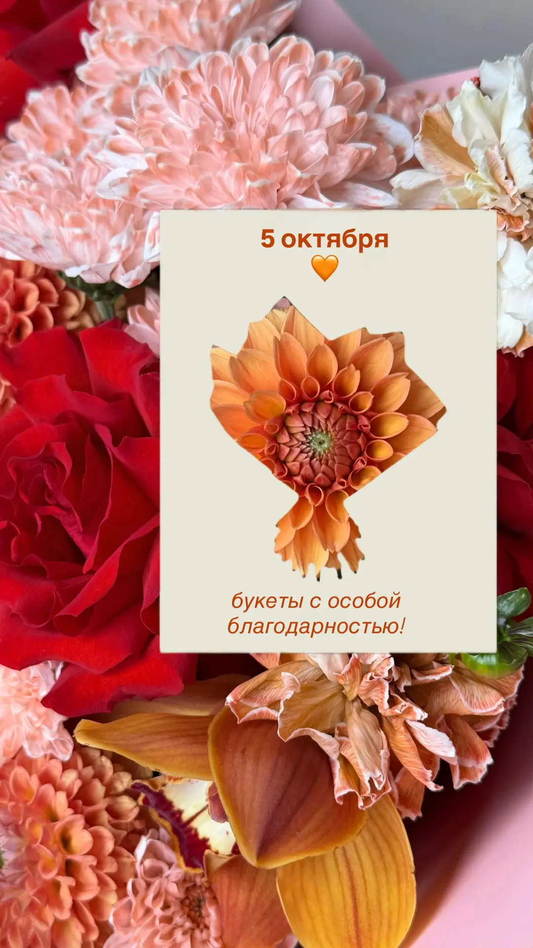 Завтра День учителя!✏️