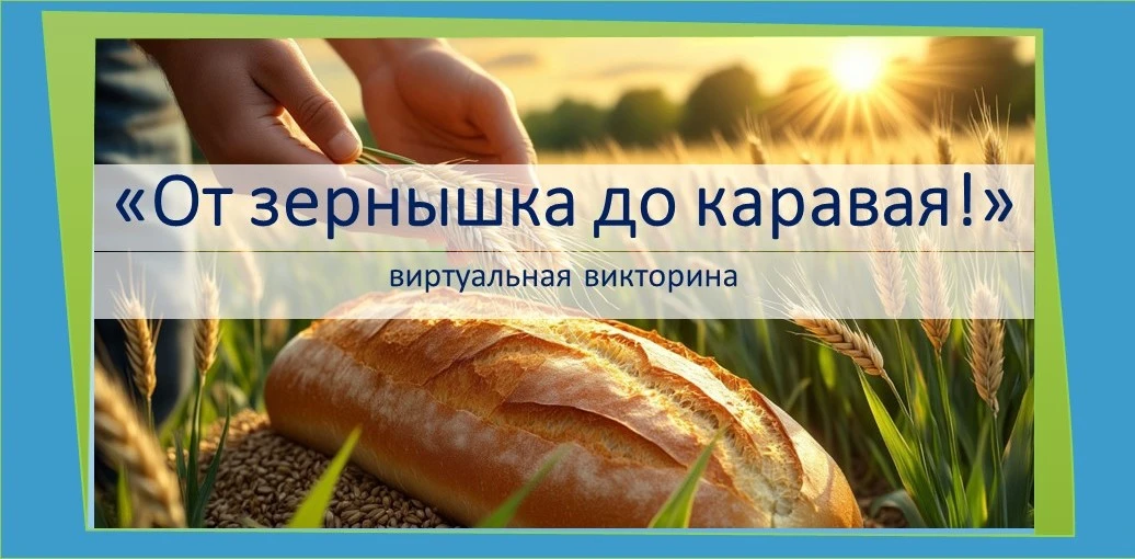 Дорогие друзья!
