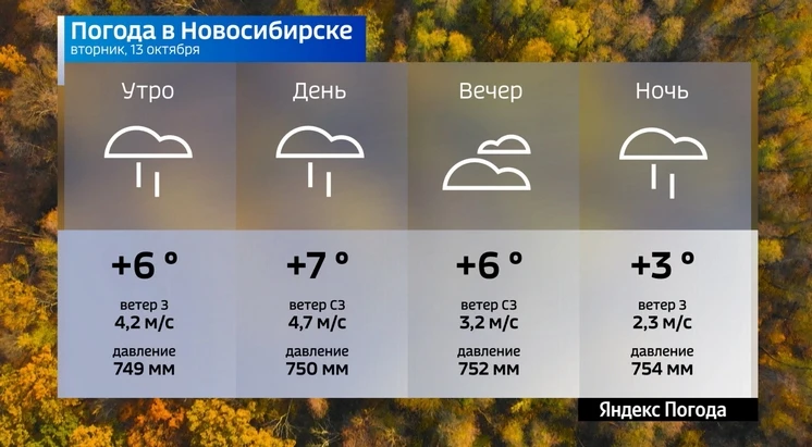 📌 Прогноз погоды на 13 октября 2026 года в Новосибирской области.
