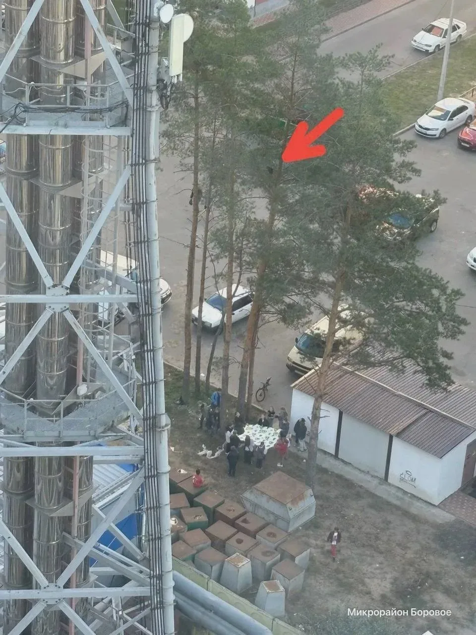 Дети натянули ткань для котёнка